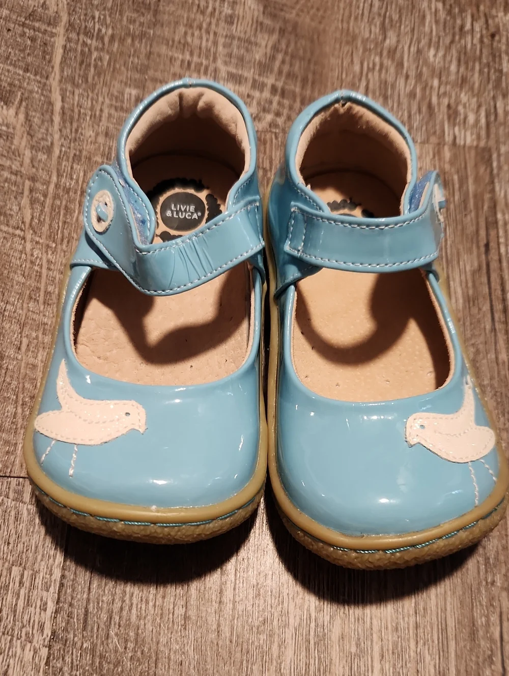 Livie & Luca Girls Light Blue Patent Mary Jane Shoes with Bird Appliques